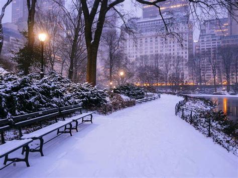 Central Park, New York City, USA New York Christmas Aesthetic ...