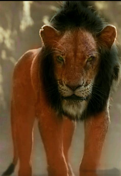 Scar from The New Disney Live Action CGI Remake of The Lion King!(But ...