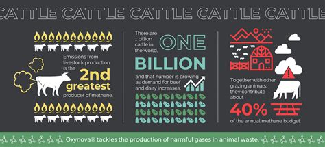 Farm Animal Operations - OXYNOVA - Oxynova®