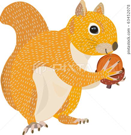 Squirrel eating an acorn - Stock Illustration [63452078] - PIXTA