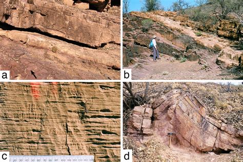 Nuccaleena Formation cap carbonate, Adelaide Geosyncline. Stratigraphic... | Download Scientific ...