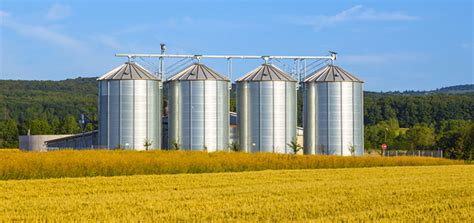 The Art of Managing Grain Quality with Silos - AGRIVI