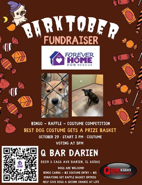 Barktober Fundraiser at Q Bar Darien! – Q Bar | Darien