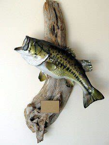 Largemouth Bass Fishing Tips – 8 Tips That Work!