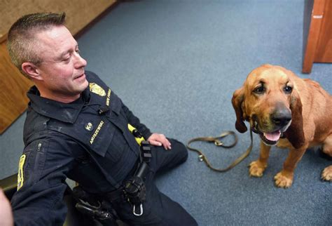 Photos: Southwestern Connecticut officers and their K-9 partners