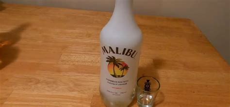 9 Best Malibu Rum Flavors (2023 Updated)