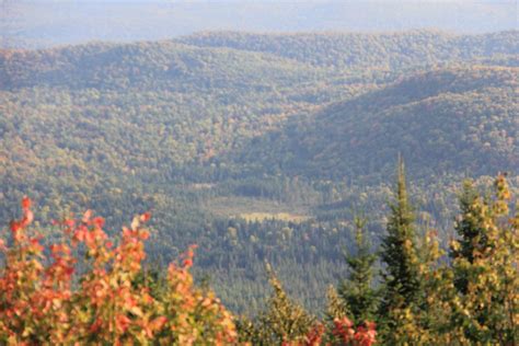 The fall foliage of the Laurentians has been attracting visitors for generations. From the ...