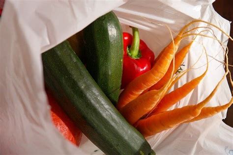 Composting Leaves In Plastic Bags: Step By Step Guide