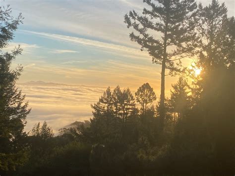 Mill Valley Sunrise: Photo Of The Day | Mill Valley, CA Patch