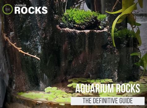 Aquarium Rocks: The Most Definitive Guide | Bantam.Earth