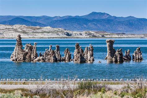 Mono Lake, California - WorldAtlas