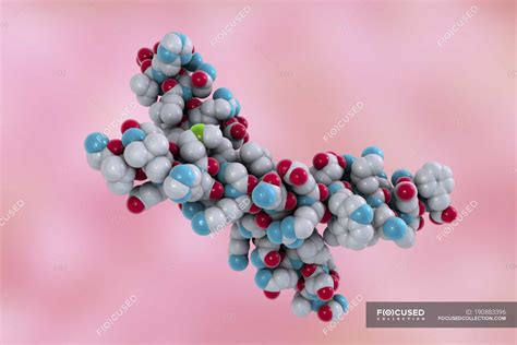 Molecular model of parathyroid hormone structure. — hormonal, parathormone - Stock Photo ...