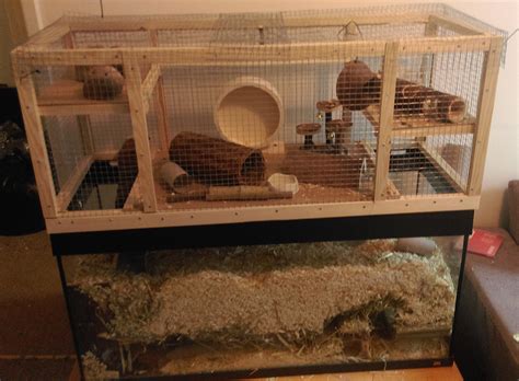 Gerbil Housing Pictures II | The Gerbil Forum