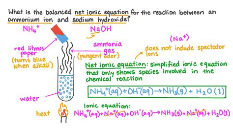 Question Video: Writing the Balanced Net Ionic Equation for the Reaction between the Ammonium ...