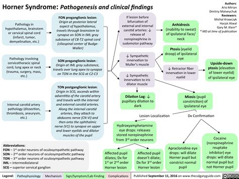 Horner Syndrome: Pathogenesis and Clinical Findings | Calgary Guide