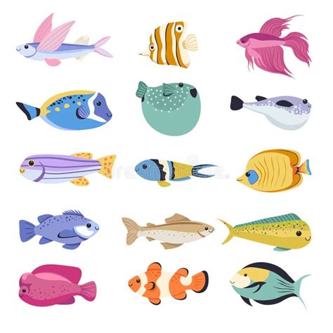 Types Fins Fish Stock Illustrations – 144 Types Fins Fish Stock ...