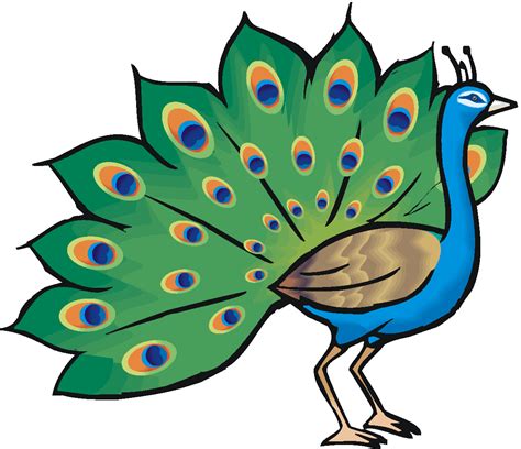 animals with feathers clipart - takeapicture-everyday