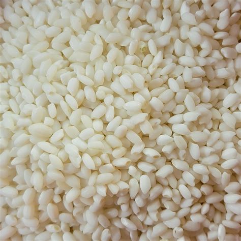 Glutinous Rice Koji – Crock of Time