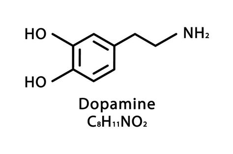 Dopamine: What Is It? What They Do, Structure, And More