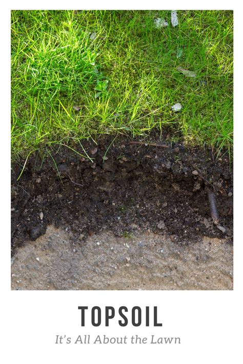 Topsoil and Top Dressing | Nashville Natural Stone Blog | Lawn and ...