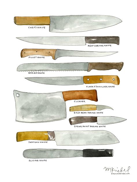 Kitchen Knives / Various Types of Chef's Blades Diagram | Etsy