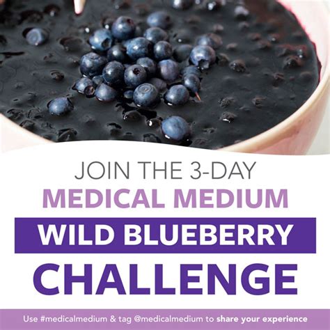 Wild Blueberry 3 Day Challenge - Medical Medium