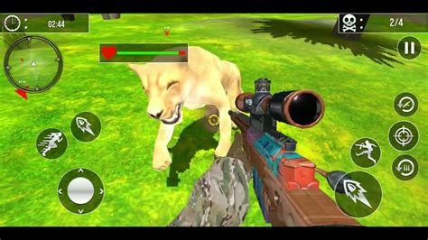 Wild Animals Hunting Game! - YouTube