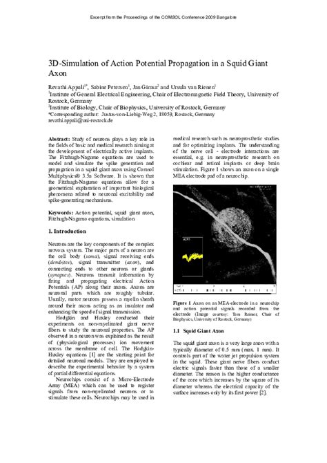 (PDF) 3D-Simulation of Action Potential Propagation in a Squid Giant Axon | Jan Gimsa - Academia.edu