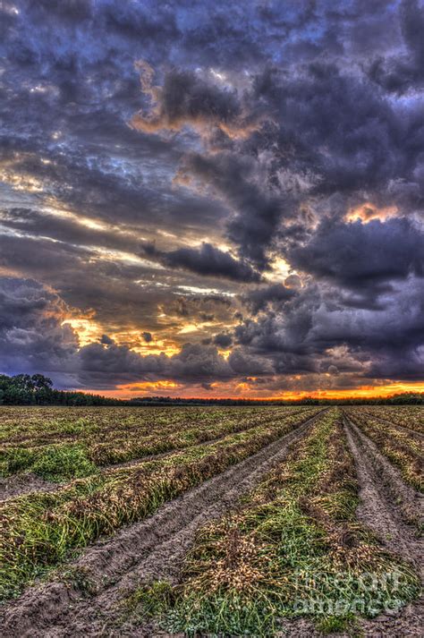 Majestic Clouds and Peanuts Photograph by Reid Callaway