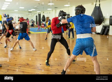 Professional boxing fighters training Stock Photo - Alamy