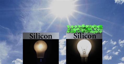 Spinach protein boosts efficiency of “biohybrid” solar cells