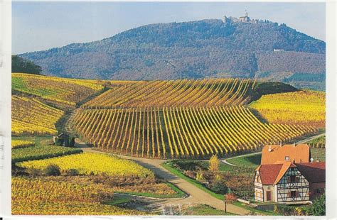 Alsace, France En Alsace Le vignoble from Gwladys in France Alsace France, Toulouse, Bordeaux ...