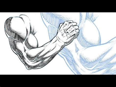 Drawing and Shading a Muscular Arm - Comic Book Style - Sketchbook Pro 8 - YouTube