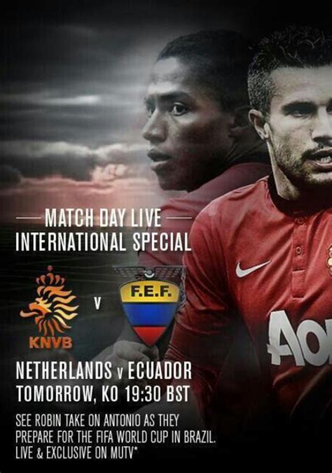 Netherlands vs Ecuador streaming: where to watch online?