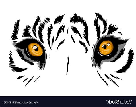 Animal Eyes Vector at Vectorified.com | Collection of Animal Eyes Vector free for personal use