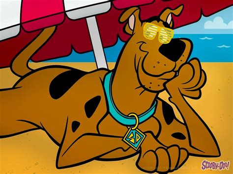 Pin de Maya em Scooby Doo and friends | Scoobydoo desenho, Scooby doo ...