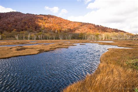 Oze National Park in Autumn - Ridgeline Images