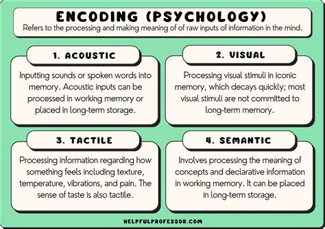 Encoding Memory