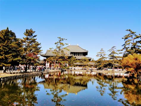 Nara Park (Map, Images and Tips) | Seeker