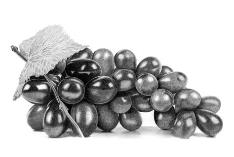 Grapes, Drawing by Paul Stowe | Artmajeur