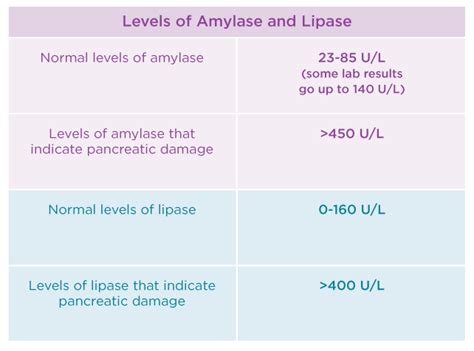 Amylase and Lipase Tests