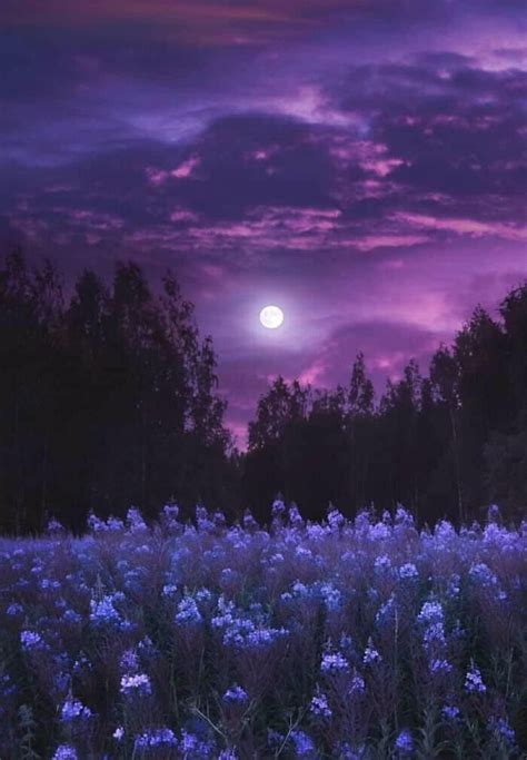 Night Sky Wallpaper, Purple Wallpaper, Landscape Wallpaper, Scenery Wallpaper, Photo Wallpaper ...