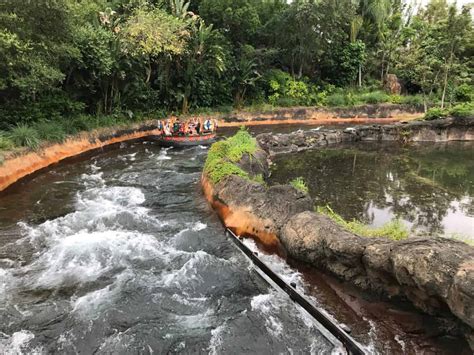 Kali River Rapids Reopening Date • DisneyTips.com