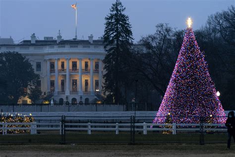 What to know about the 2021 National Christmas Tree Lighting - WTOP News