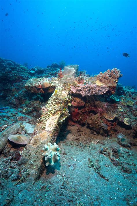 The Sunken Cemetery of Camiguin Island, Philippines