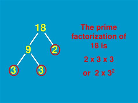 Prime Factorization