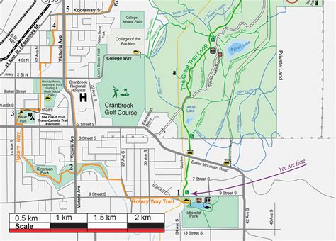 Cranbrook Community Forest Trail Maps - Janice Strong