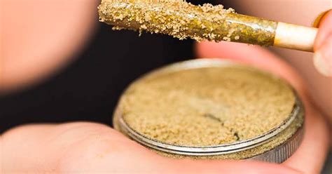 Wondering What to Do with Kief? Check Out These Genius Ideas