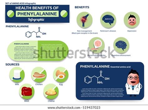 Set Health Benefits Phenylalanine Essential Amino Stock Vector (Royalty Free) 519437023 ...