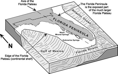 Schematic topographical map of the Florida Plateau. Exposed parts ...